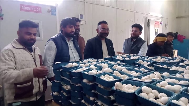 बागवानी विभाग पलवल द्वारा किसानों को मशरूम की खेती के लिए किया प्रोत्साहित