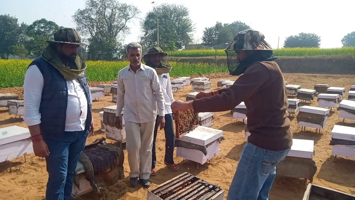 बागवानी विभाग पलवल द्वारा किसानों को मधुमक्खी पालन के लिए किया प्रेरित